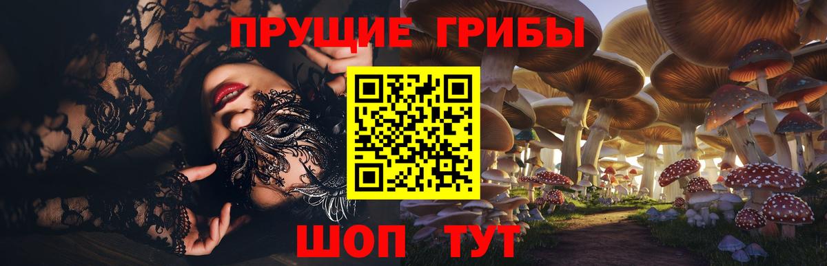 Псилоцибиновые грибы прущие грибы  Вход с VPN  Псилоцибиновые грибы MAGIC MUSHROOMS  Владимир 