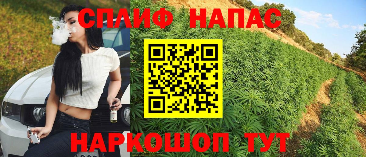 Конопля тримм Владимир